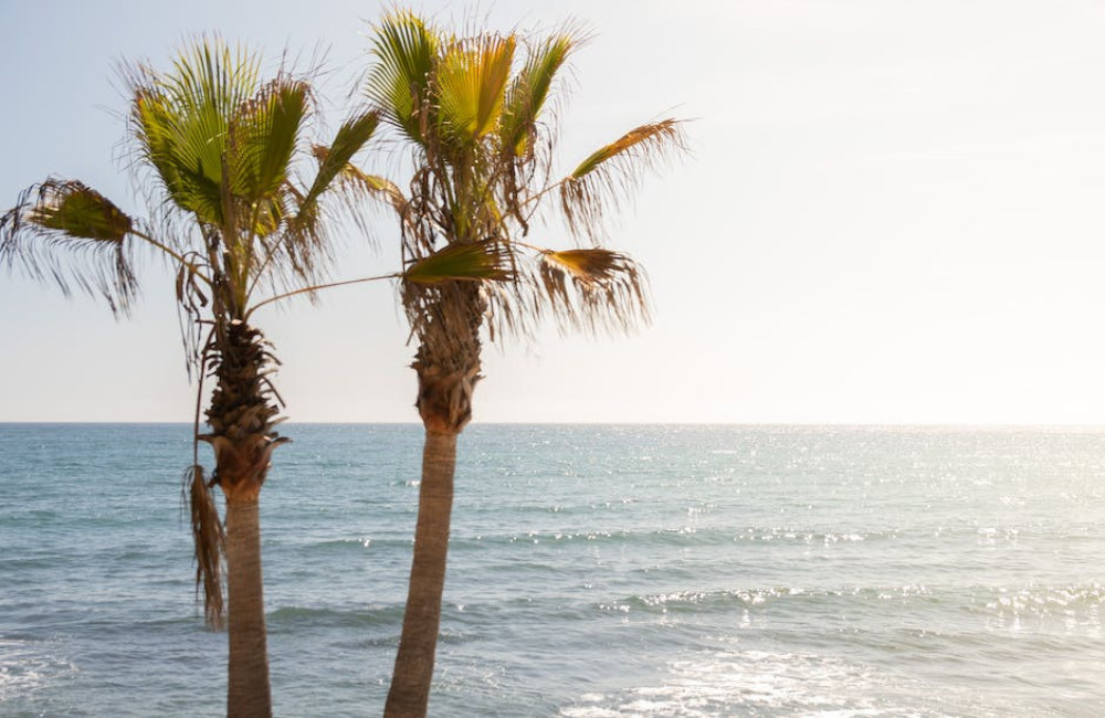 Hoe lang is het vliegen naar Marbella?