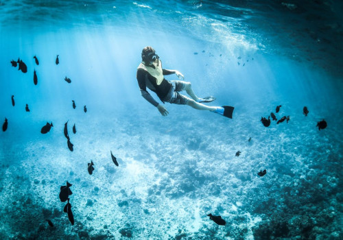 Waarom Kreta het duikparadijs van de wereld is