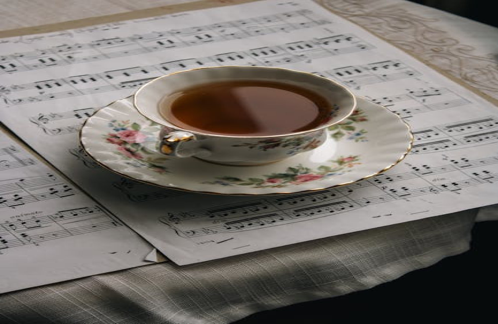 Zuilichemstraat 2 tilburg? Music'scool Tilburg!