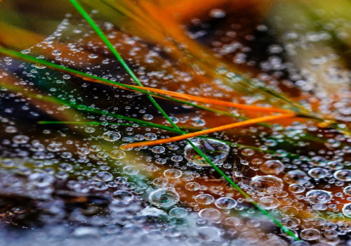 Wat is het precieze verschil tussen ‘kennelijk’ en ‘blijkbaar’ in het Nederlands?