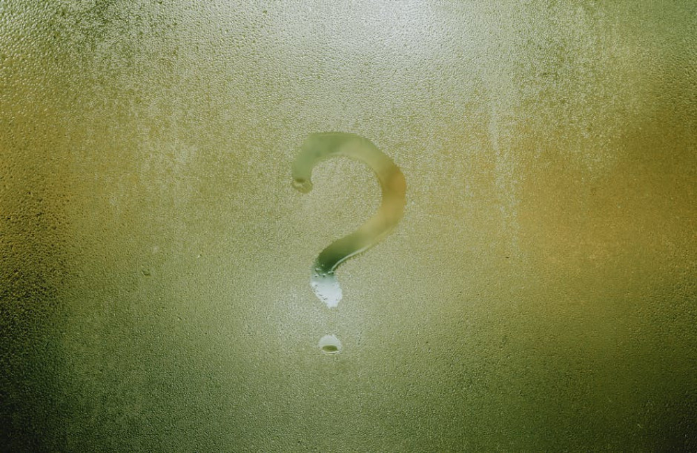 Wat betekent het woord ‘ongetwijfeld’ precies?
