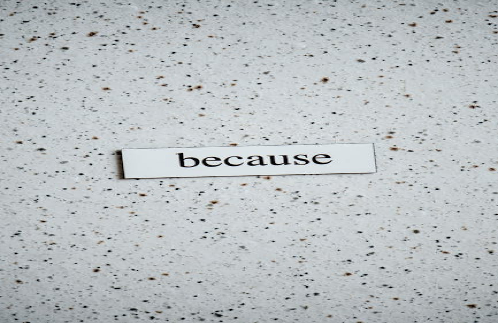 Wanneer gebruik je een trema en wanneer een koppelteken in het Nederlands